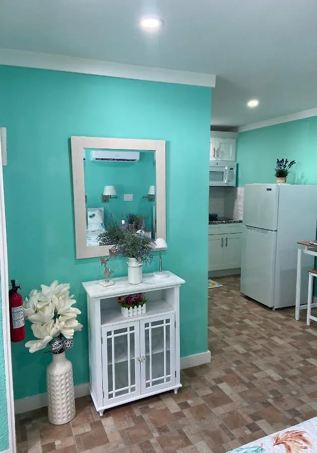 Beautiful And Comfortable Rom Apt # 2 Tampa