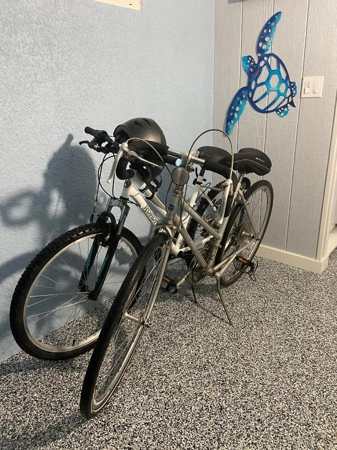 Beautiful And Comfortable Rom Apt # 2 Tampa Apartment