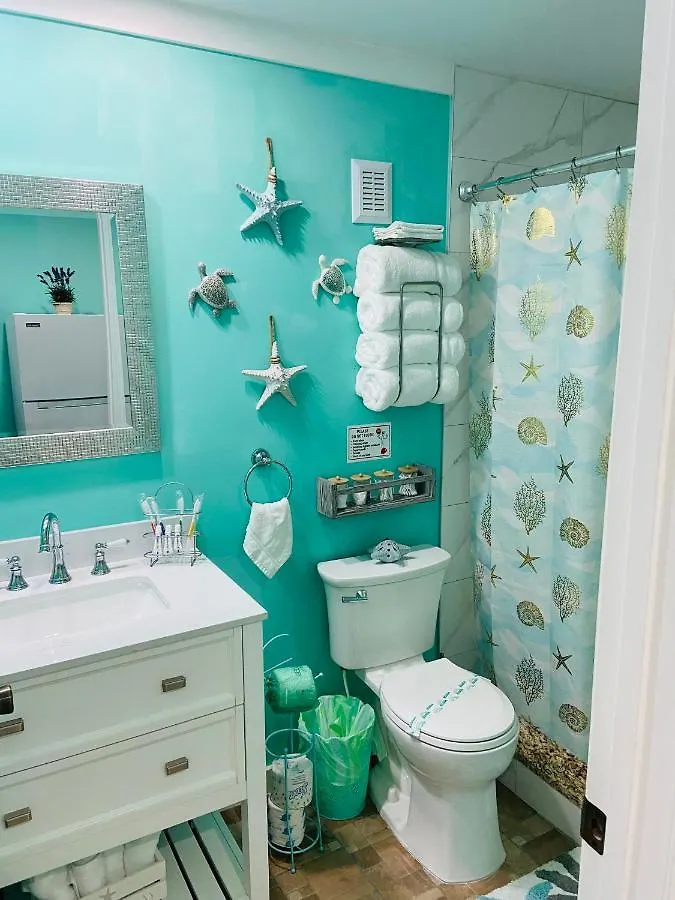 Apartment Beautiful And Comfortable Rom Apt # 2 Tampa