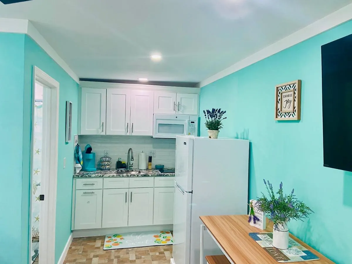 Beautiful And Comfortable Rom Apt # 2 Tampa 0*,