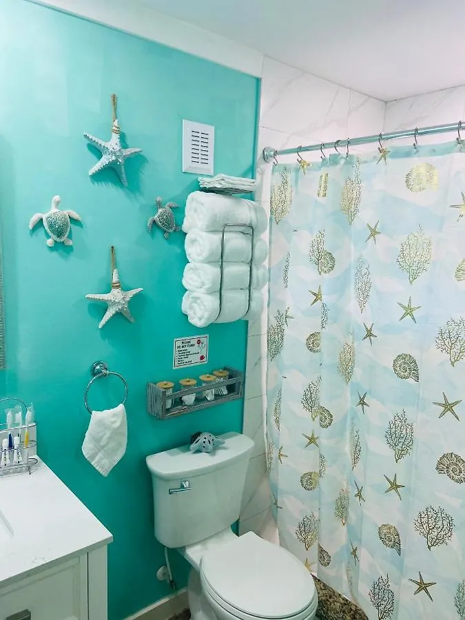 Beautiful And Comfortable Rom Apt # 2 Tampa Apartment